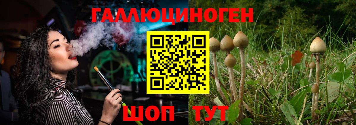 Галлюциногенные грибы мухоморы Мариинск