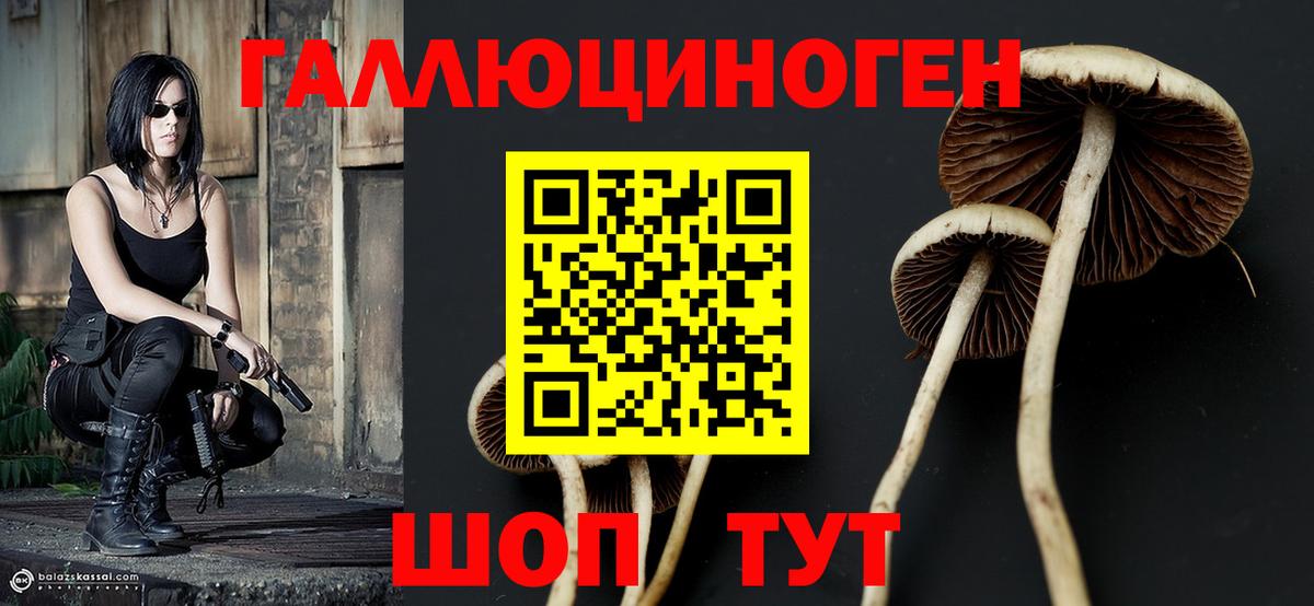 Мариинск  Галлюциногенные грибы прущие грибы  Вход с VPN  Галлюциногенные грибы мицелий 